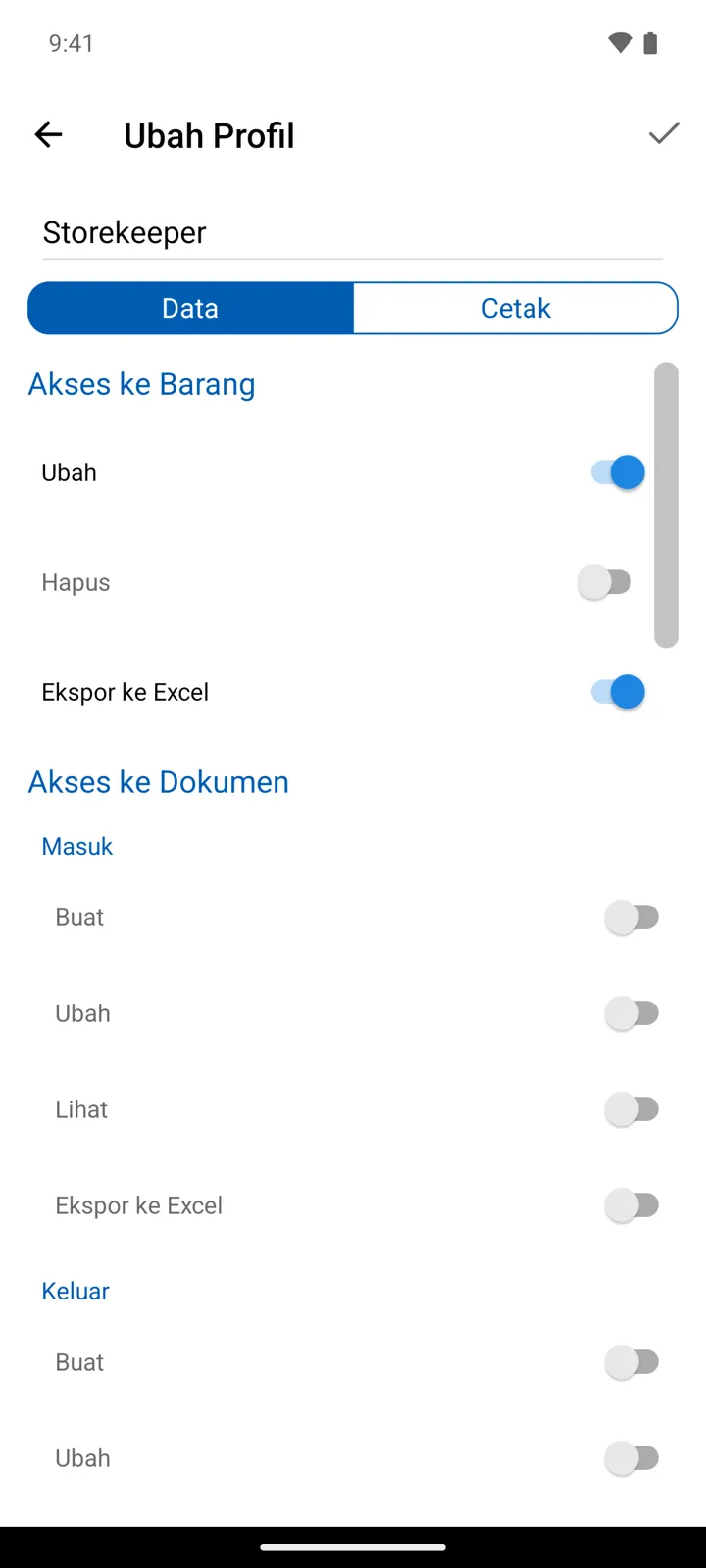 Tab Data di editor profil: sakelar tab Data/Cetak, lalu Akses ke Barang dan sakelar Akses ke Dokumen per jenis